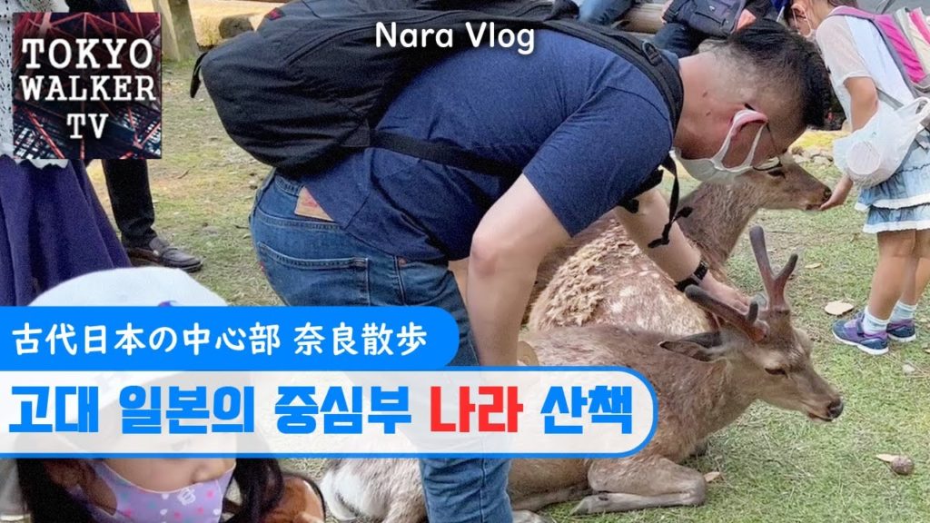 일본 여행 VLOG | 고대 일본의 정치종교적 중심부 나라 奈良 산책 / 사슴공원 , 도다이지 東大寺 Nara Deer visit the temple Japan #일본여행