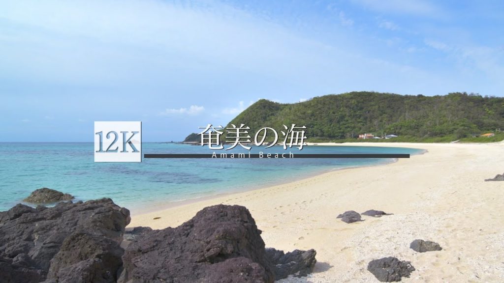 [12K footage] Amami Beach [奄美の海]