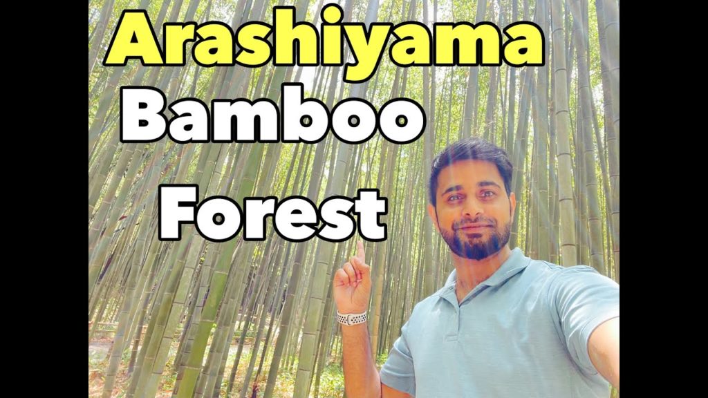 Arashiyama Bamboo Forest | Walk in Review | Kyoto Japan Arashiyama Bamboo Forest | Walk in Review | Kyoto Japan