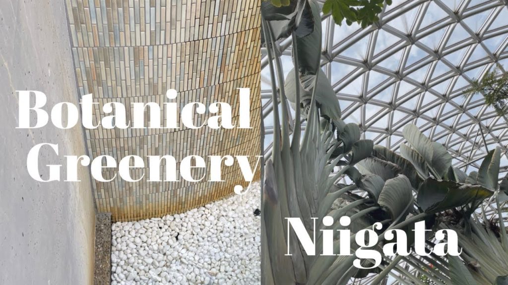 【新潟】県立植物園の映像と、転職の話【Niigata Vlog】