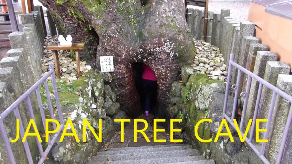 Japanese Tree Cave & Huge Waterfall (Kumano Nachi Taisha, 熊野那智大社) and Kumano Hayatama Taisha