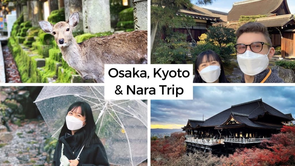 ๊ตญ์ ์ปคํ๐บ๐ธ๋ถ์ด๋นต๊ณผ ์์ด๋นต์ ์ฐจ์ด ์๊ธฐ์ฌ์ด ๋จน์ด์ฃผ๊ธฐ ์ค์ฌ์นด ์ฝ๋๋ ํ์๋ฏธ์ด๋๋ฆฌ ๊ธฐ์๋ฏธ์ฆ๋ฐ๋ผ ์ค์ฌ์นด-๊ตํ -๋๋ผ ์ฌํOsaka, Kyoto, Nara Trip Osaka Conrad ๊ตญ์ ์ปคํ๐บ๐ธ๋ถ์ด๋นต๊ณผ ์์ด๋นต์ ์ฐจ์ด ์๊ธฐ์ฌ์ด ๋จน์ด์ฃผ๊ธฐ ์ค์ฌ์นด ์ฝ๋๋ ํ์๋ฏธ์ด๋๋ฆฌ ๊ธฐ์๋ฏธ์ฆ๋ฐ๋ผ ์ค์ฌ์นด-๊ตํ -๋๋ผ ์ฌํOsaka, Kyoto, Nara Trip Osaka Conrad