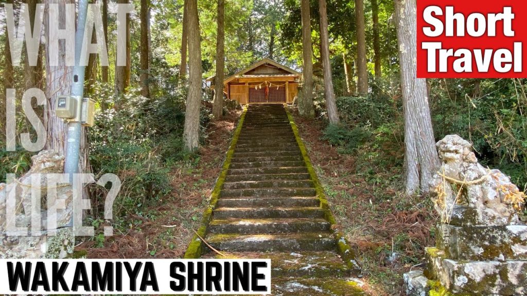 [TVL #32] WAKAMIYA SHRINE (Kochi prefecture, Japan) [Short Travel]
