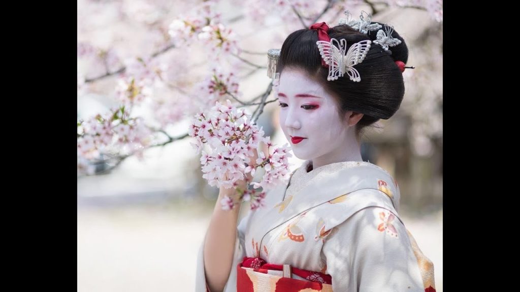 Japan and the Cherry Blossoms Trailer