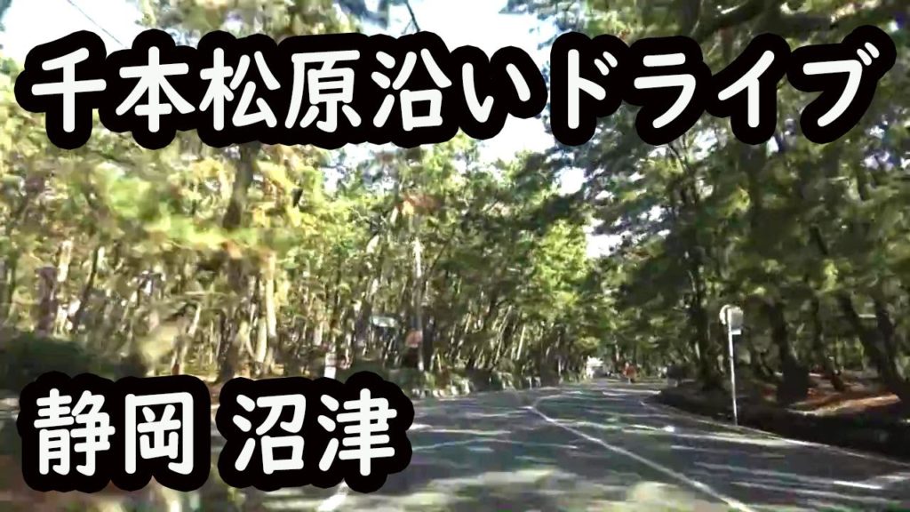 千本松原沿いをドライブ（沼津港付近～千本街道まで）Senbonmatsubara