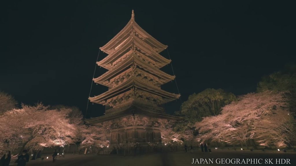 8K HDR 京都　世界遺産東寺の桜　夜の水鏡と朝の輝き Kyoto,World Heritage Toji and Sakura, Evening Mirage and Morning Glory