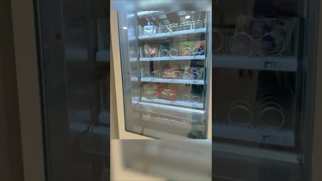 Trying Japan's Cheapest and Luxurious Overnight Ferry Seat | Yokohama-Tokyo