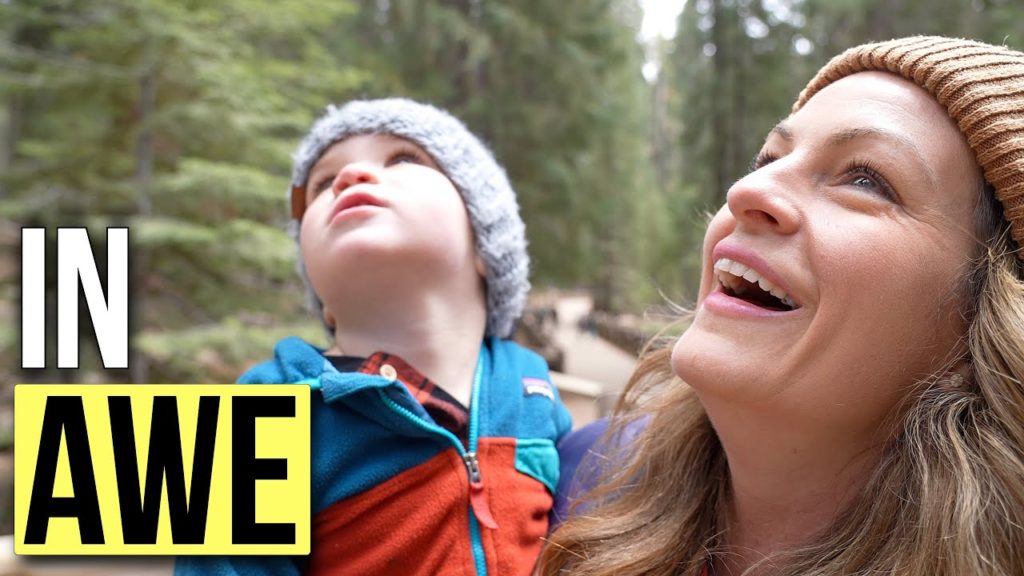 The Largest Tree in the World // Sequoia and Kings Canyon National Parks
