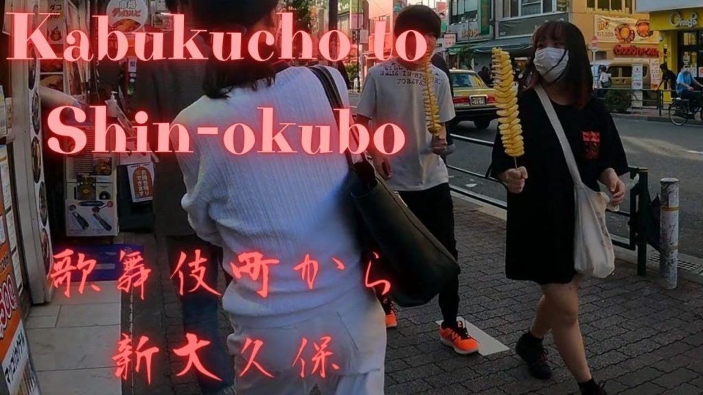 Delicious Korean street food. Kabukicho Shinjuku to Shin-Okubo Tokyo walking tour【4K】