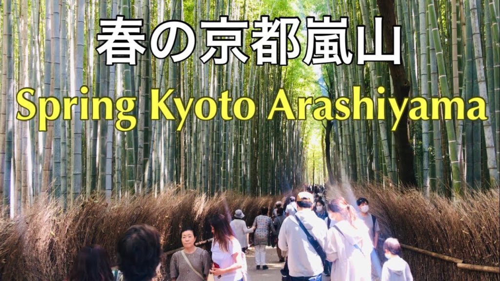 2022年4月10日　春の京都嵐山🌸 Spring Kyoto Arashiyama