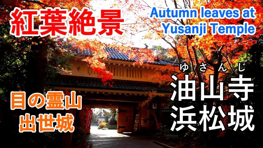 静岡県 目の霊山 油山寺の紅葉絶景 ( 浜松城 徳川家康 ) / Autumn Leaves at Yusanji Temple ( Shizuoka,Japan )【日本の紅葉絶景！】 [ 4K ]