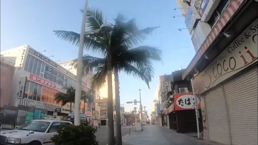 Japan Travel 137 Winter in Okinawa 10
