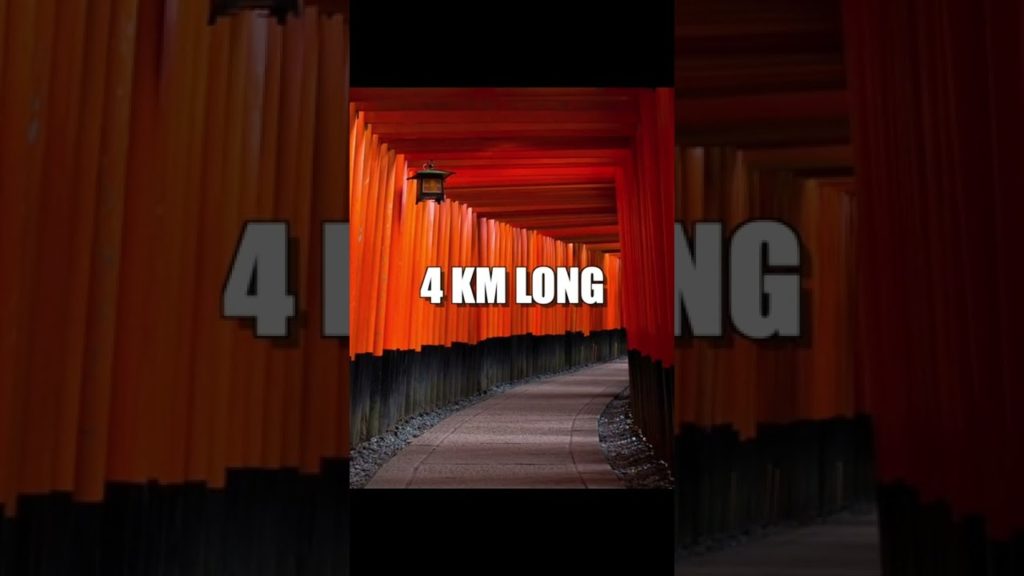 Kyoto Travel Guide #shorts Kyoto Travel Guide #shorts