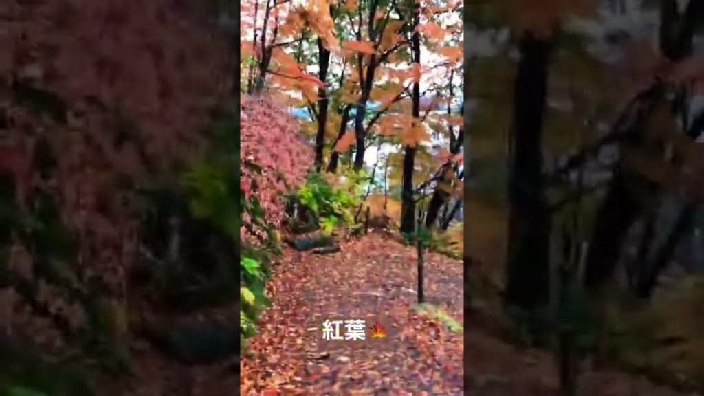 4K Japan Walk -  NIIGATA NAGAOKA Neighborhood Walking Tour | 新潟長岡 2021