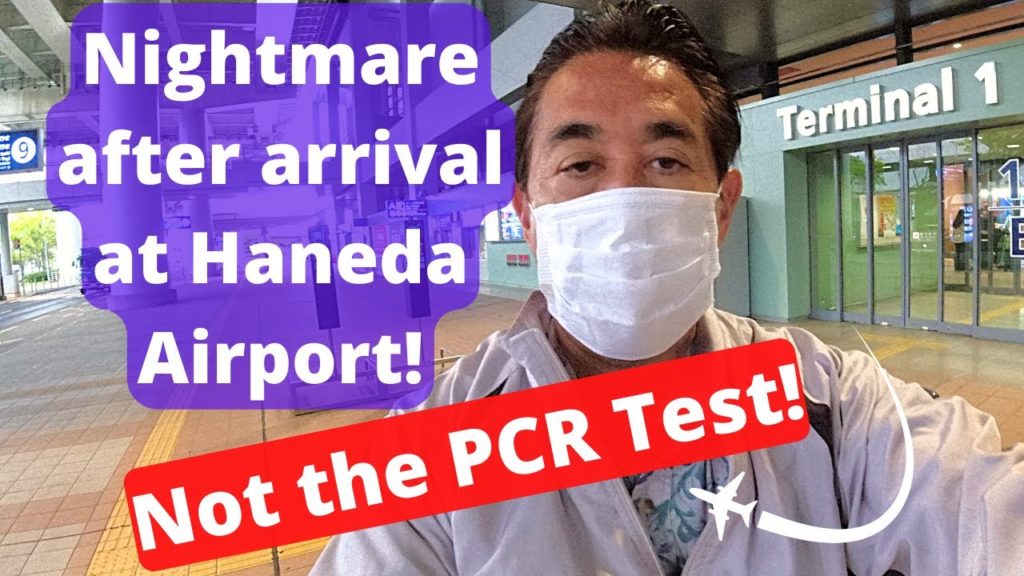 Flying into Japan at Haneda, Tokyo Nightmare! Flying into Japan at Haneda, Tokyo Nightmare!