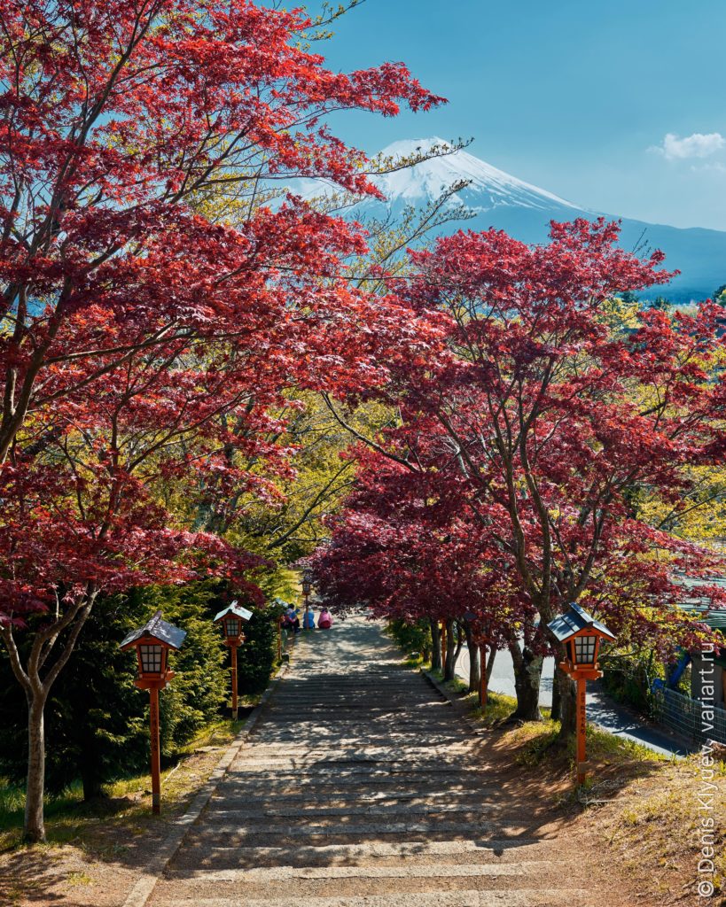 Mount Fuji in Spring, Arakurayama Sengen (2018)