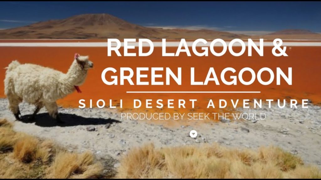 Desert Adventure: Red Lagoon & Green Lagoon!