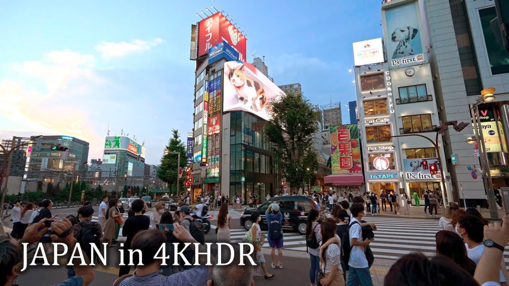 Tokyo Shinjuku night walk – Big cat・4K HDR Tokyo Shinjuku night walk - Big cat・4K HDR