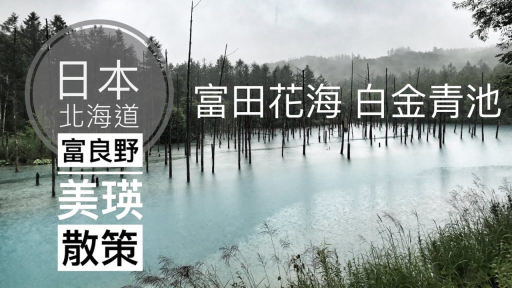 【日本北海道】#08 富良野 美瑛｜三段瀑布、富田農場、白金青池｜北海道夏日散策