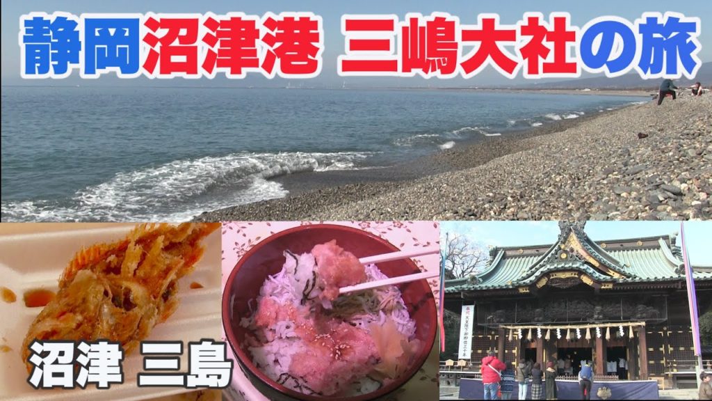 【静岡】絶景の”千本浜”・沼津港のグルメ・三嶋大社を巡る旅