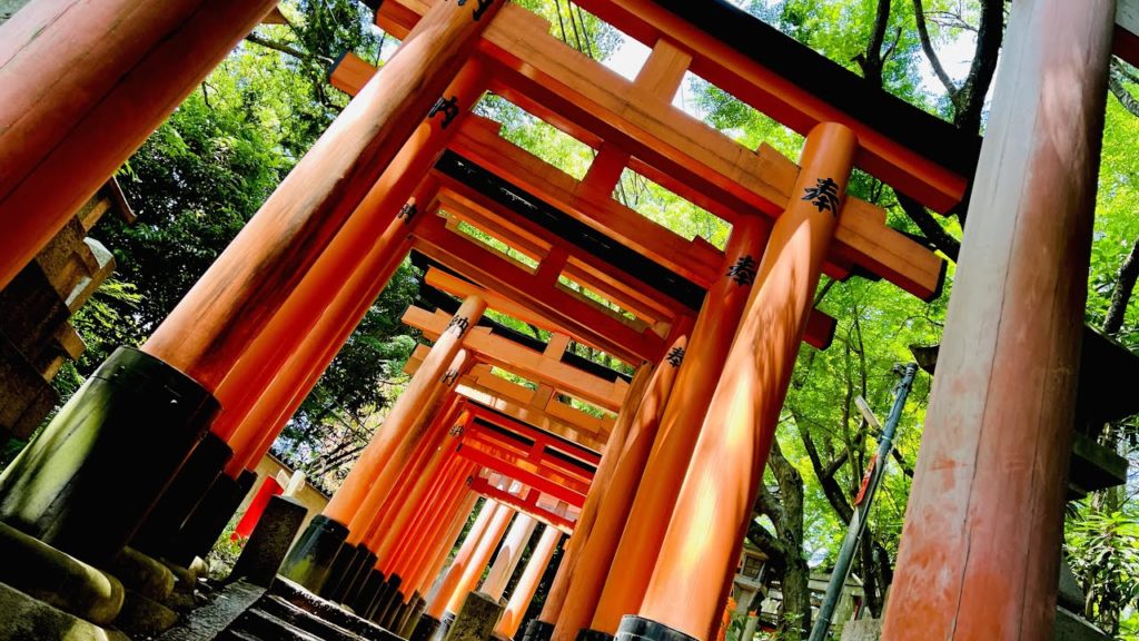 [SAKE Travel] Kyoto_Sanjusangendo_Fushimi Inari and Sake Trip
