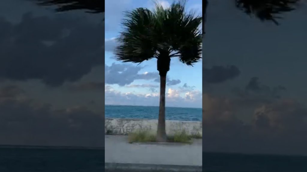 📍沖縄 / 那覇 🌴🌺💦#okinawa #theocean #海 #国内旅行 #飛行機 #カップル