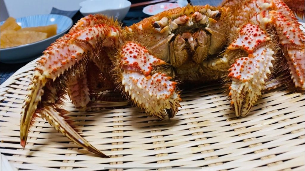 Is it YUM? HORSEHAIR CRAB in Japan #Shorts
