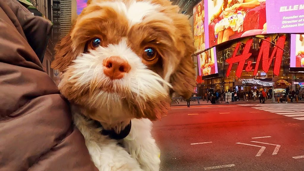 NEW YORK CITY, USA — Walking Tour MIDTOWN Manhattan (Narrated) NYC Walks【4K】🇺🇸