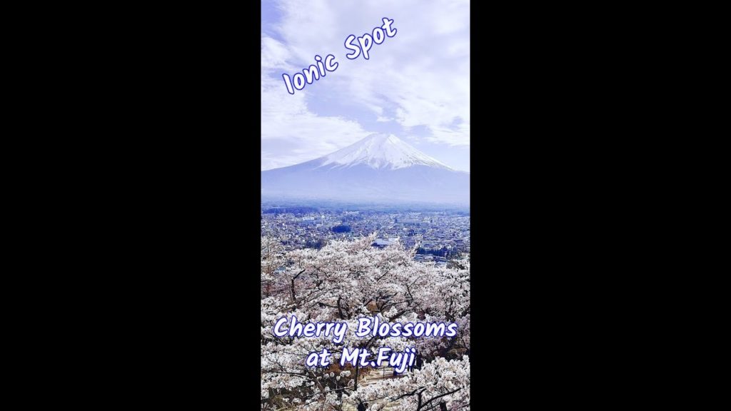 The Best Places to Watch the Cherry Blossoms at Ionic Mt Fuji #shorts The Best Places to Watch the Cherry Blossoms at Ionic Mt Fuji #shorts