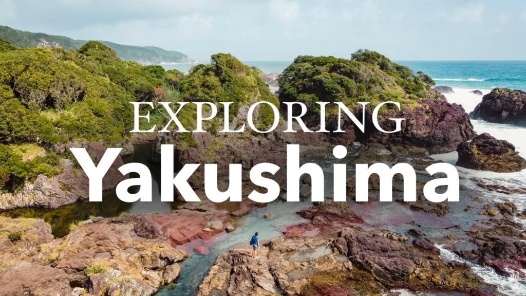 The Ultimate Trip to Kagoshima and Yakushima, Japan!