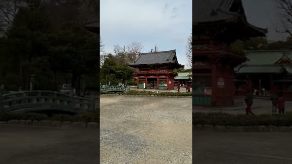 Tokyo #shorts #tokyo #travel #ytshorts #youtubeshorts #short #trending #tour #subscribe