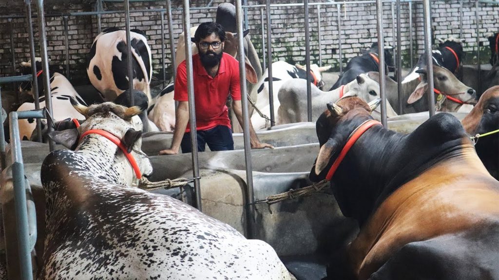 সাদিক এগ্রোর সব গরু এক ভিডিওতে । Sadeeq Agro tour 2022 | The Taste Ranger