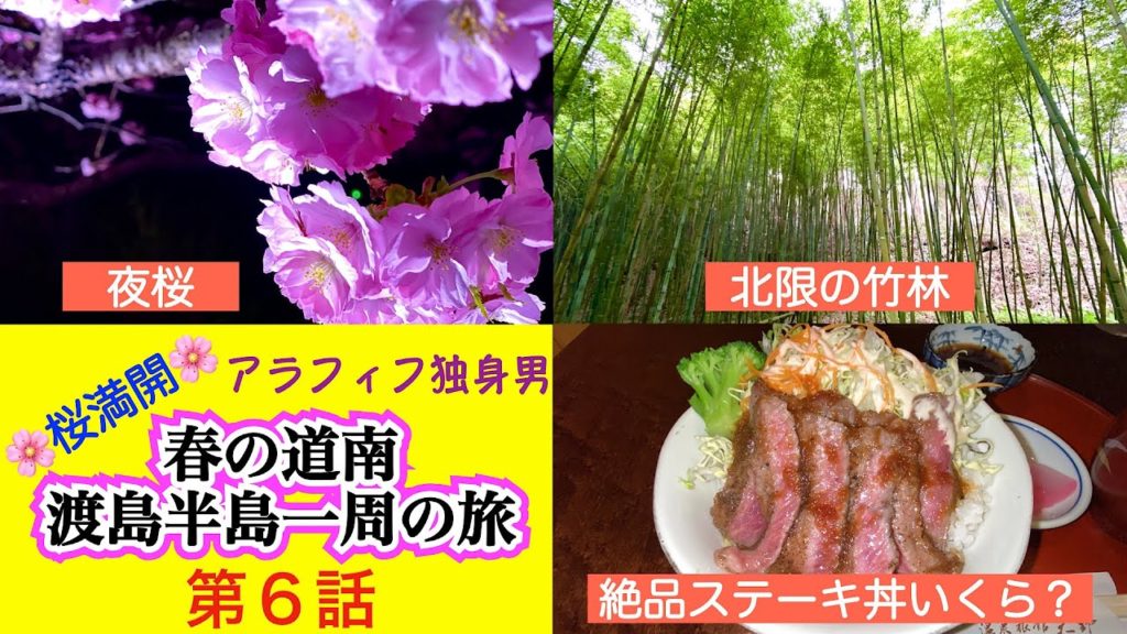 【桜満開　アラフィフ独身男　春の道南　渡島半島一周の旅】第６話　北海道で見ることのできない穴場絶景スポットとは　夕食は絶品コスパいいステーキ丼❗️　あまりの美しさに言葉を失う真っ黒な夜空に咲く『夜桜』