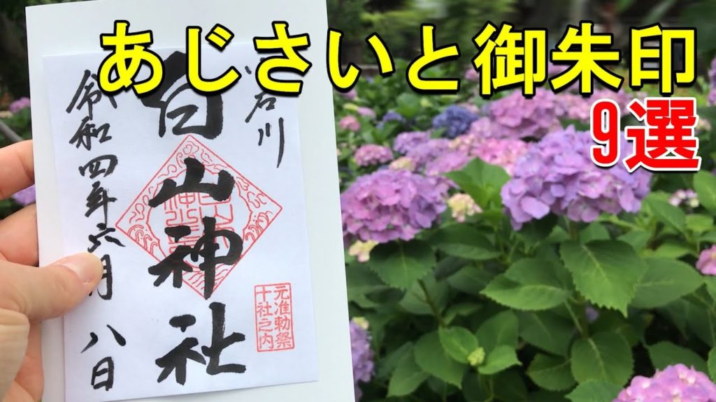 【御朱印ベスト/印活】紫陽花が綺麗な神社仏閣9選