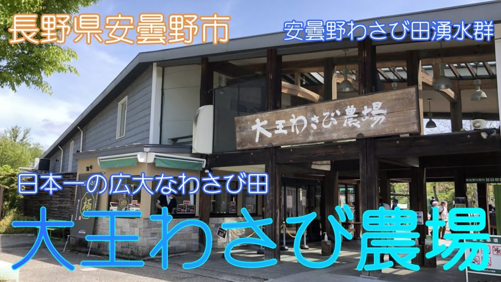 【長野県安曇野市】大王わさび農場で癒されました【サイクリング】