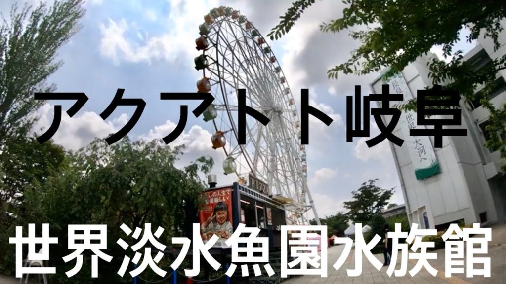 walk「世界淡水魚水族館 アクアトトぎふ 遊園地」岐阜 愛知 名古屋 観光 旅行 熱帯魚 アロワナ ピラルク 巨大魚 カピパラ アシカ イルカ 限定 世界最大 ギネス チョウザメ メコンオオナマズ