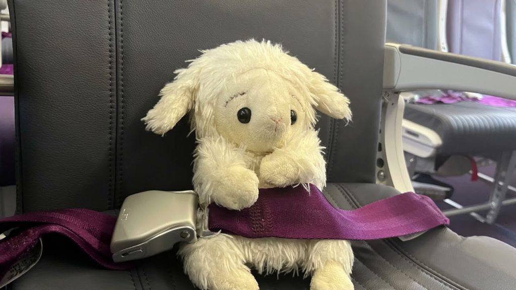 ピーチなどのLCCは要注意！釧路〜成田を利用してみた♪使い方と注意、評判【ひつじのハッピー】【北海道】【202206】