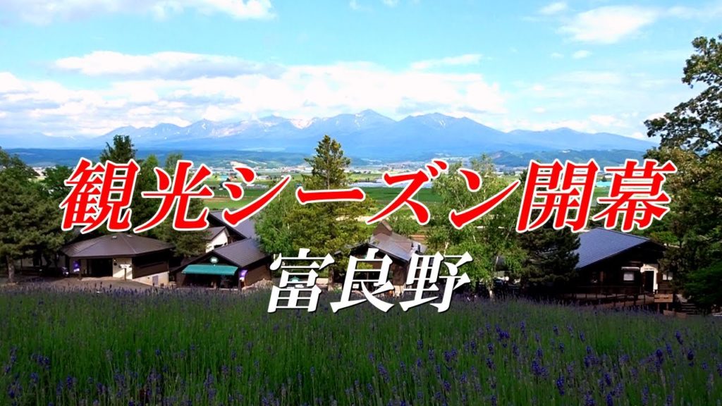 【富良野美瑛】観光シーズン開幕！！