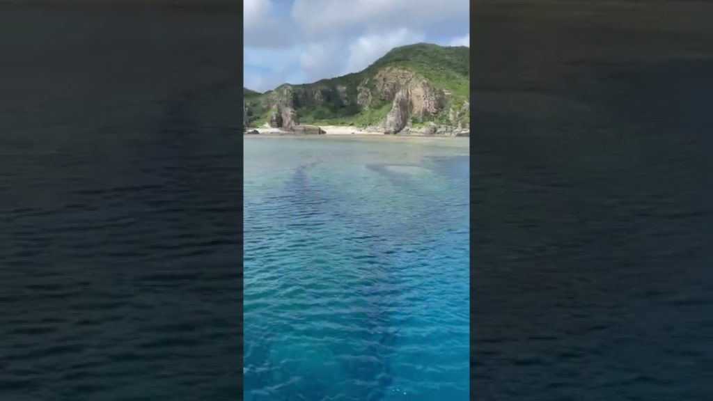 慶良間諸島国立公園🏞座間味島チシ