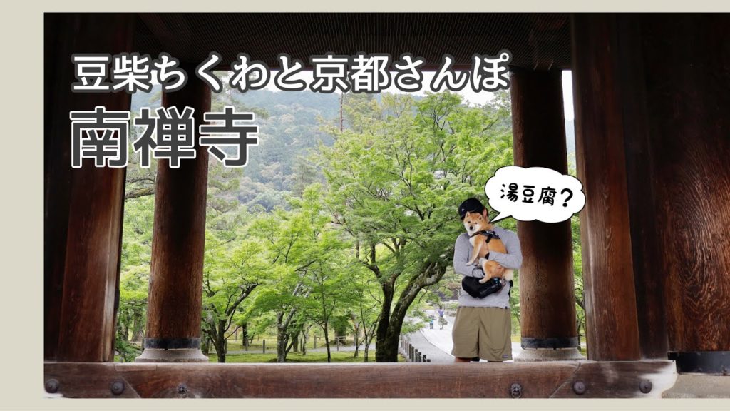【犬連れお出かけvlog】京都さんぽ 南禅寺・蹴上インクライン
