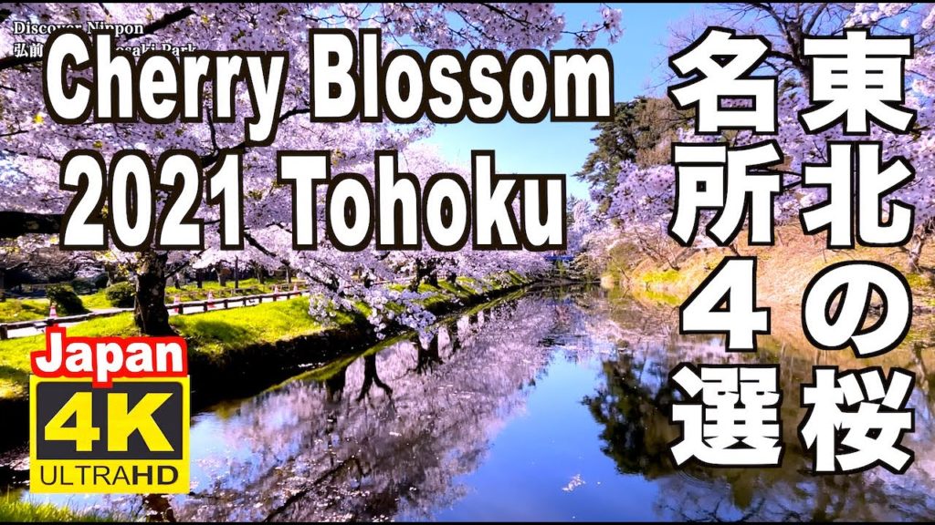 4K Sakura 東北の桜 2021 Cherry Blossom Tohoku Japan 弘前公園(城) 角館 北上展勝地 白石川 Hirosaki Shiroishi Kakunodate 4K Sakura 東北の桜 2021 Cherry Blossom Tohoku Japan 弘前公園(城) 角館 北上展勝地 白石川 Hirosaki Shiroishi Kakunodate