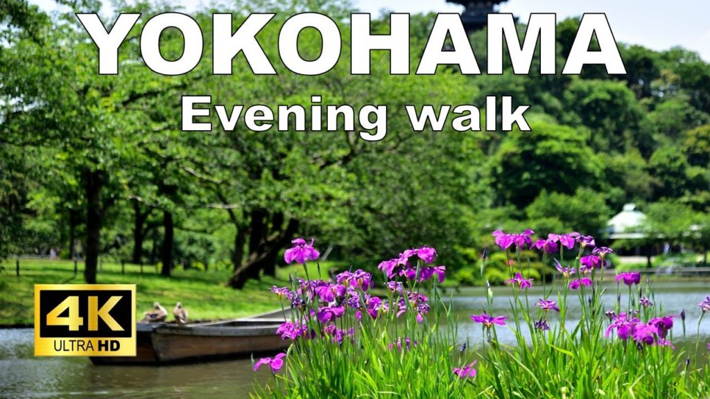 【4K】Yokohama Walking Tour – Sankeien Garden – Travel Guide with captions 【4K】Yokohama Walking Tour - Sankeien Garden - Travel Guide with captions