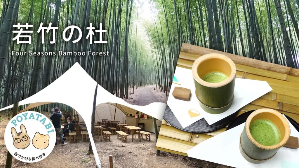 【#宇都宮】若竹の杜 / 若山農場｜竹林カフェ、筍掘り体験、キャンプもできる！｜2022 GWおでかけ #Vlog【ぽや家｜100】#ロケ地