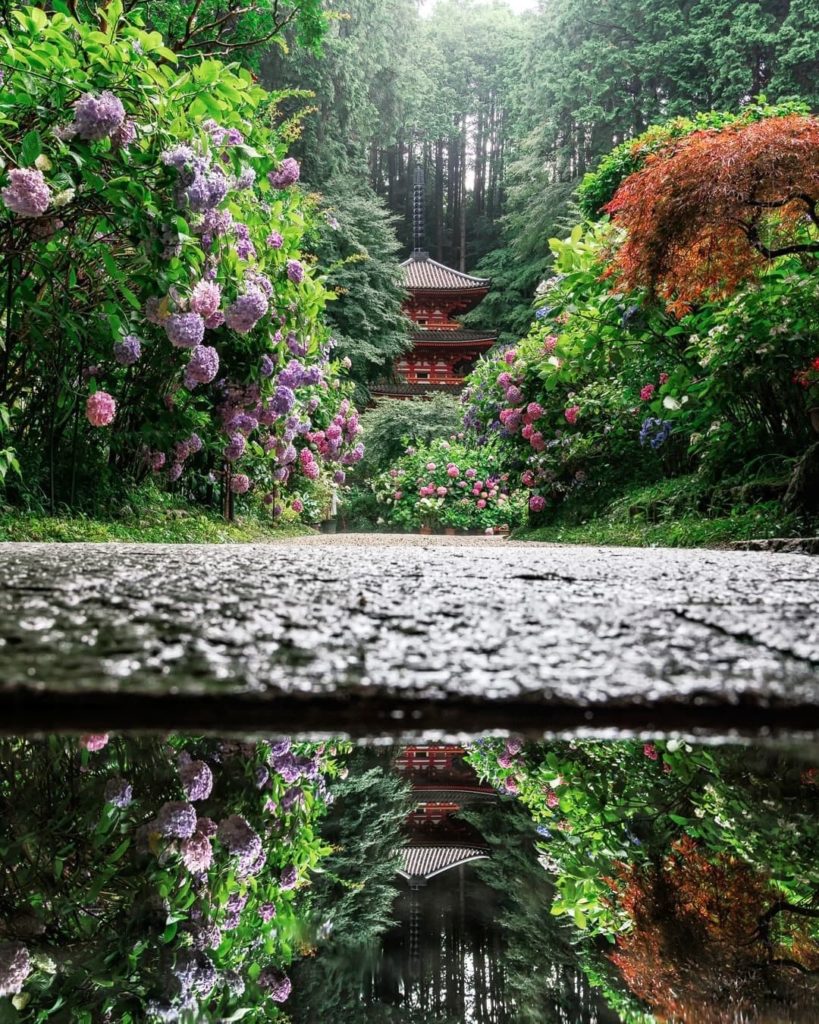 Have you ever seen such a beautifully framed pagoda?
This is the three-story ver...