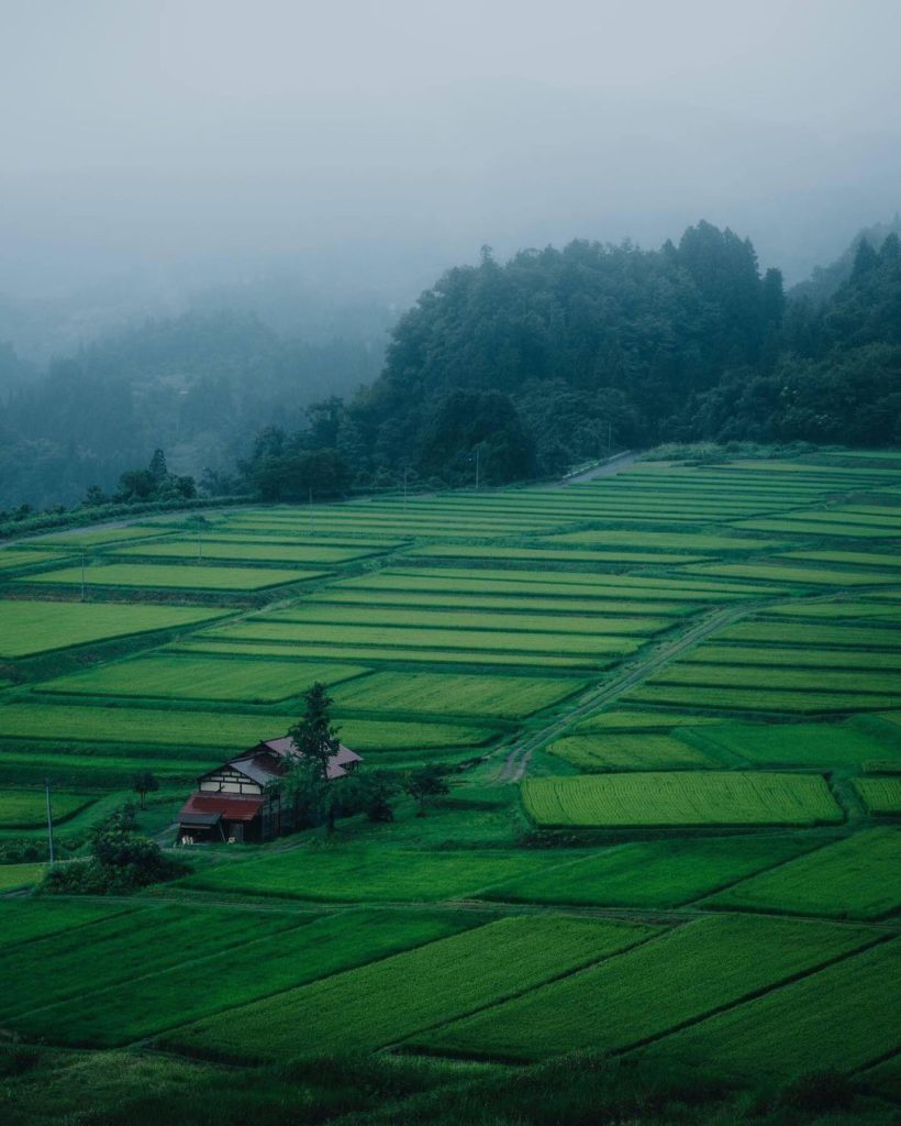 Located in Yamagata Prefecture, the Kunugidaira Rice Terraces consist of up to 2...