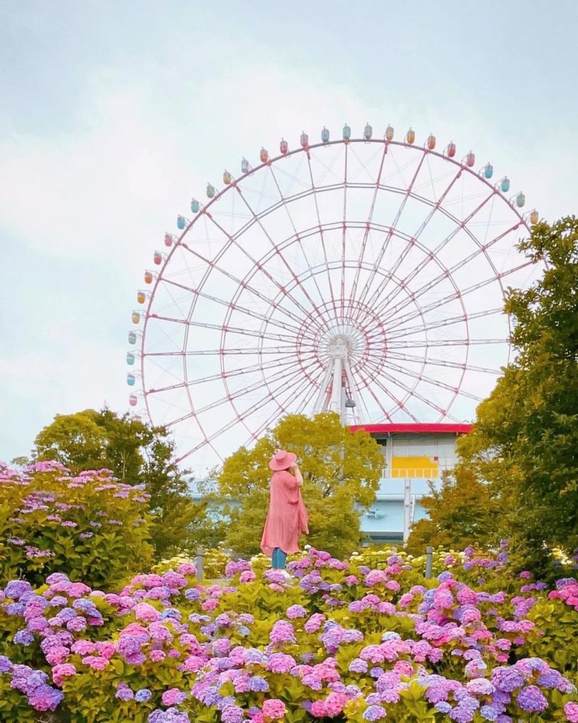 Japan Travel: Hydrangea season can be admired at many destinations in Tokyo, and one with a fu… Hydrangea season can be admired at many destinations in Tokyo, and one with a fu...