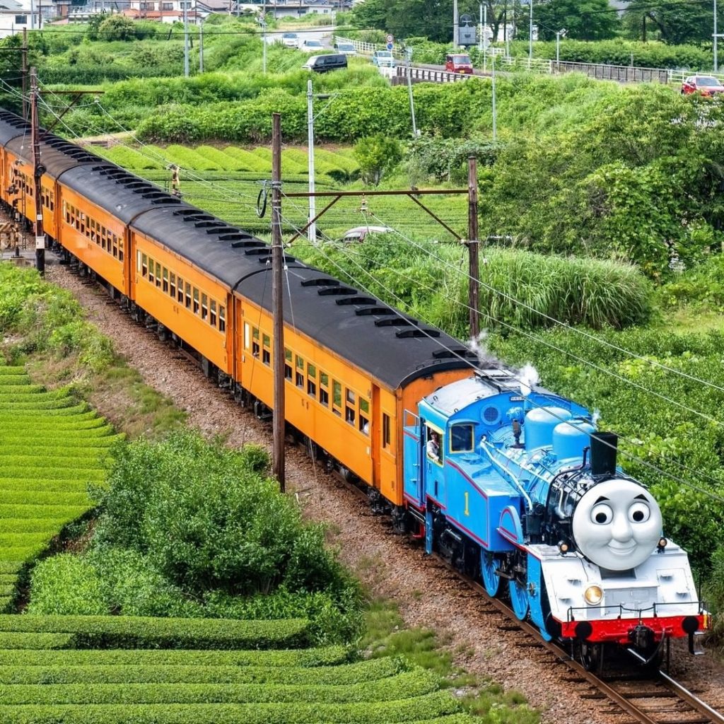 Toot Toot! All aboard for a magical ride on the Thomas the Tank Engine-themed st...