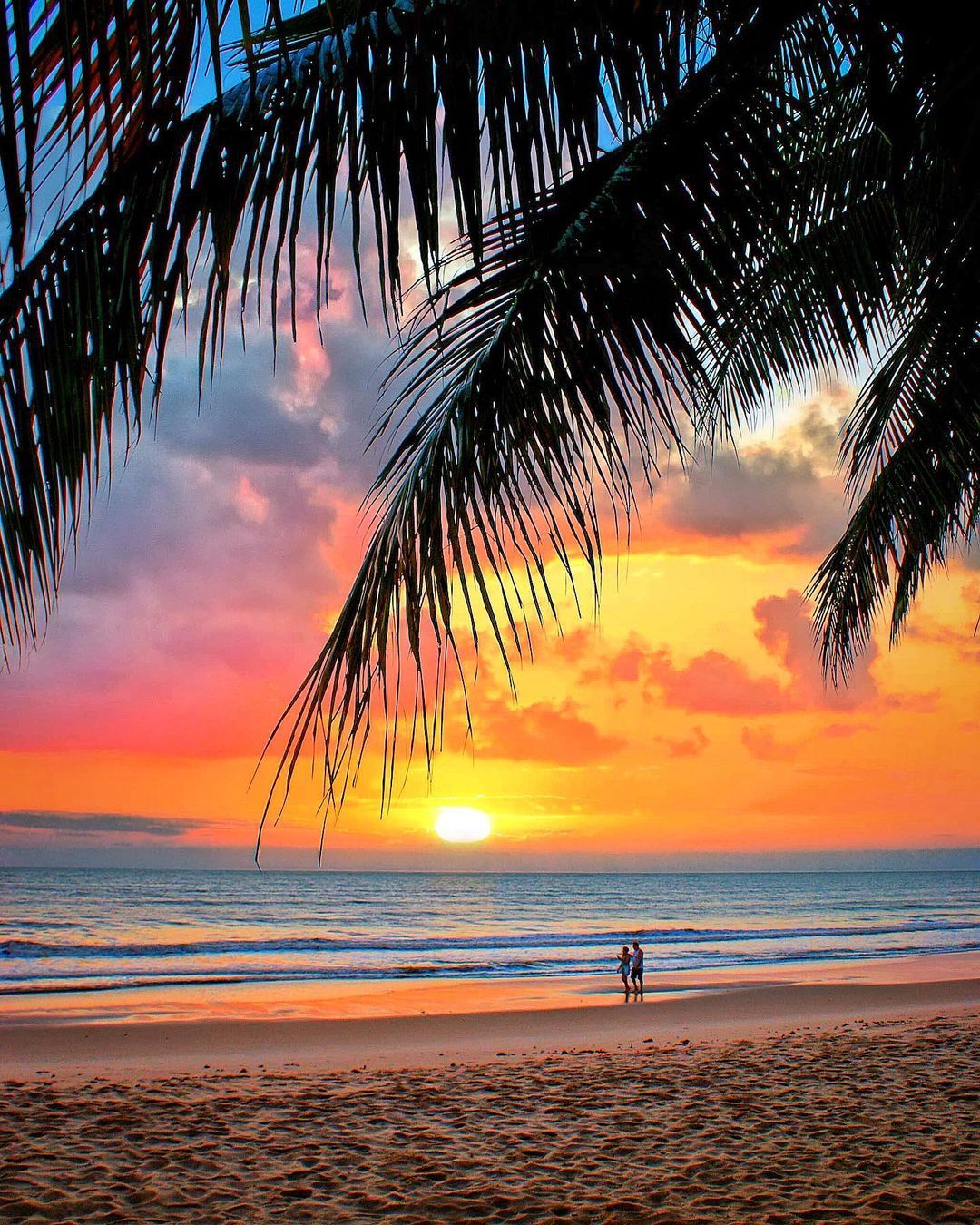 Japan Airline ロマンチックな夕暮れの海岸 心を奪われる一枚 Noplannoproblemjune A Captivating Romantic Sunset On Alo Japan Japan Airline ロマンチックな夕暮れの海岸 心を奪われる一枚 Noplannoproblemjune A Captivating Romantic Sunset On Alo Japan