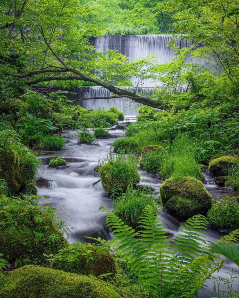 Have  you ever seen such a perfectly picturesque stream before? 
Nestled in Dais...