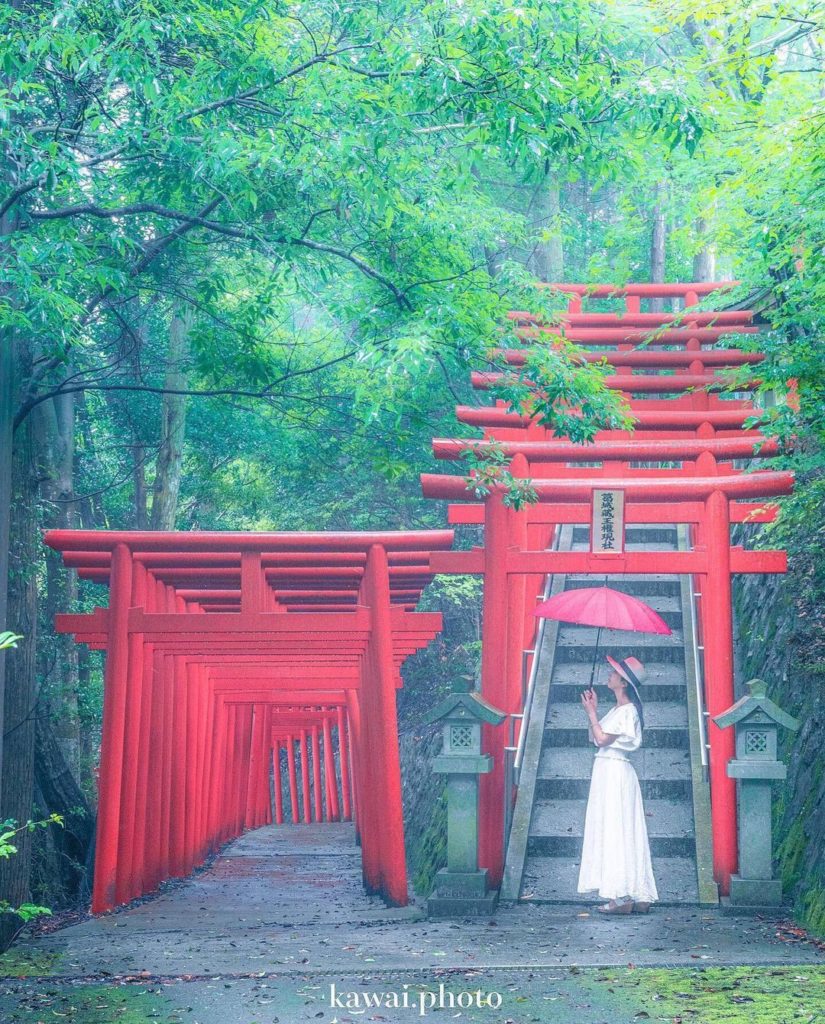 As the green of the trees deepens, the brilliant red of the tori gates along the...